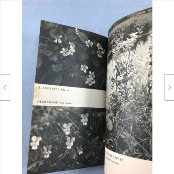 Common Wild Flowers UK Pelican Books Field Guide John Hutchinson Vintage 1948 - Picture 2 of 5